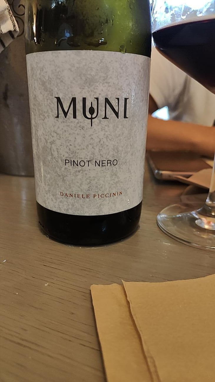 Rosa Frizzante - Muni Di Daniele Piccinin - Daniele Piccinin 