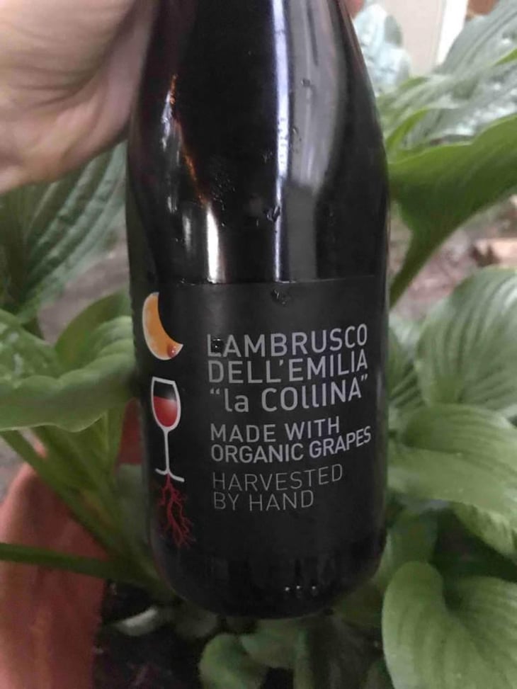Rosa Luna Lambrusco dell’Emilia - Cooperativa Agricola La Collina - Enea Burani 