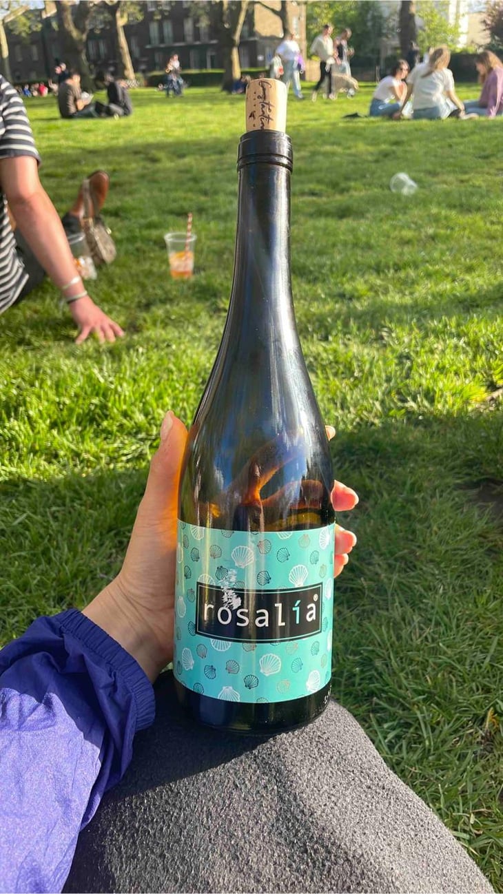 Rosalía - Constantina Sotelo Micro Bodega - Constantino Sotelo -2022