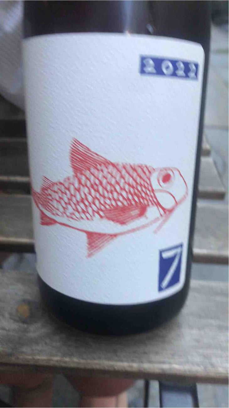 Rosato - Sette Wine - Gianluca Colombo & Gino della Porta 