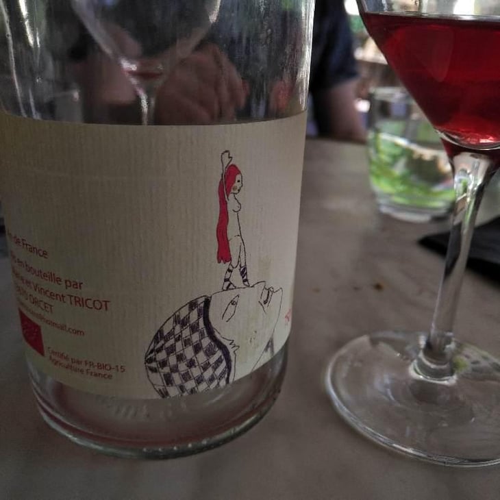 Rosé - Marie et Vincent Tricot - Vincent et Marie Tricot 