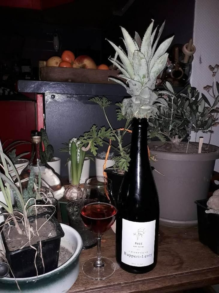 Rosé Brut Nature - Champagne Ruppert-Leroy - Emmanuel Ruppert & Bénédicte Leroy 