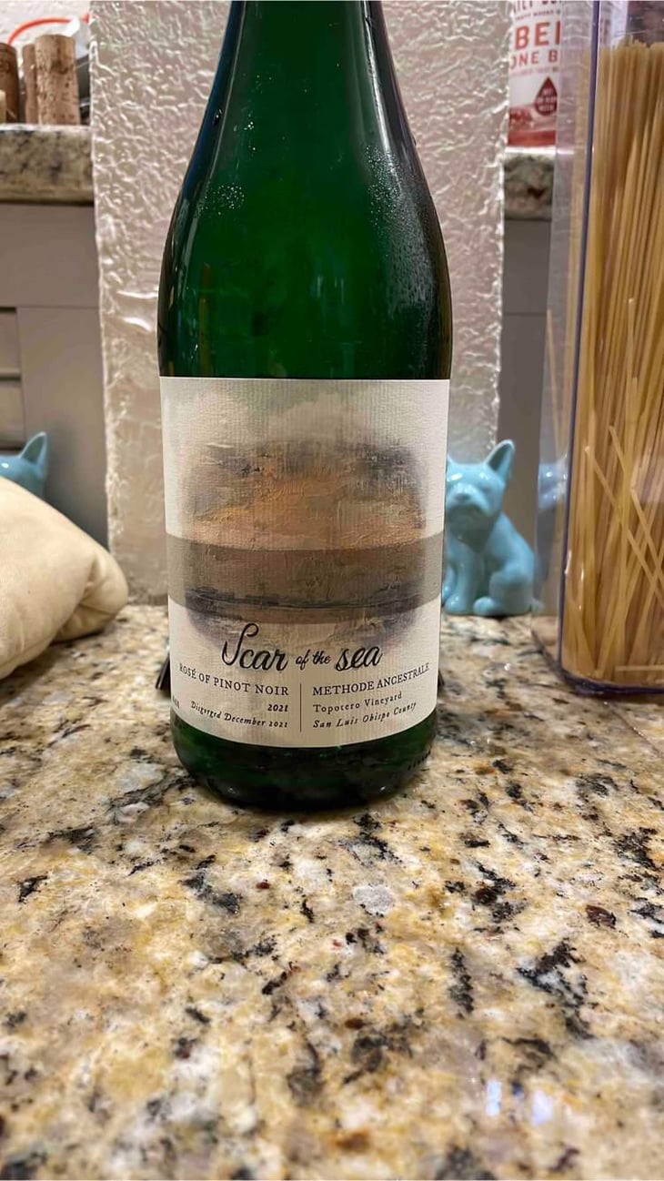 Rosé of Pinot Noir - Scar of the Sea - Mikey & Gina Giugni -2021