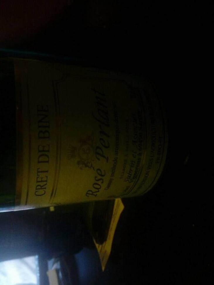 Rosé Petillant - Domaine Du Crêt De Bine - Geoffroy Subrin & Florence Subrin Dodille 