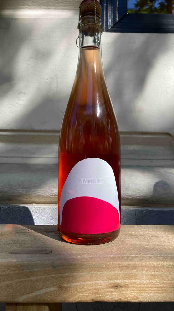 Pink Petnat GSP - Vivanterre - Patrick Bouju - Justine Loiseau 