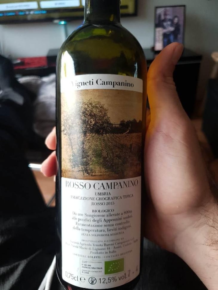 Rosso Campanino - Tenuta Baroni Campanino - Andrea Caracciolo 