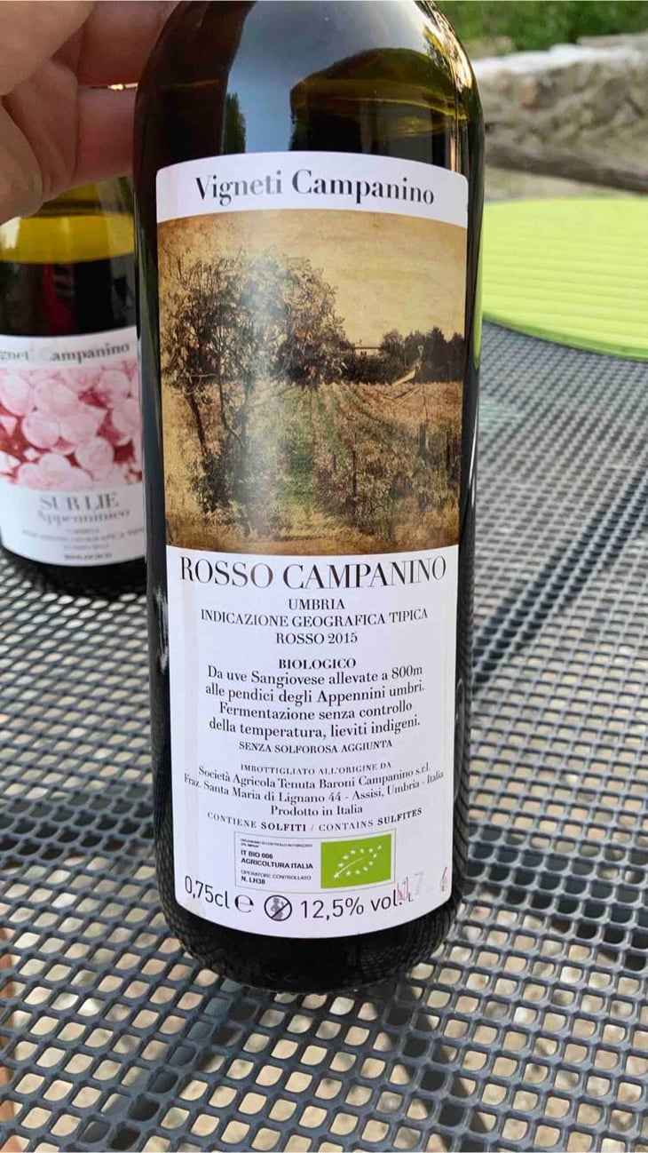 Rosso Campanino - Tenuta Baroni Campanino - Andrea Caracciolo 