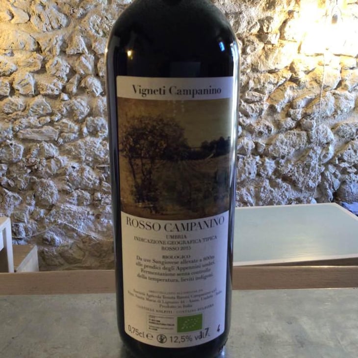 Rosso Campanino - Tenuta Baroni Campanino - Andrea Caracciolo 