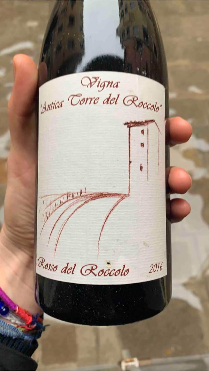 Rosso Del Roccolo - Vigna Antica Torre del Roccolo - Raimondo Zolin 