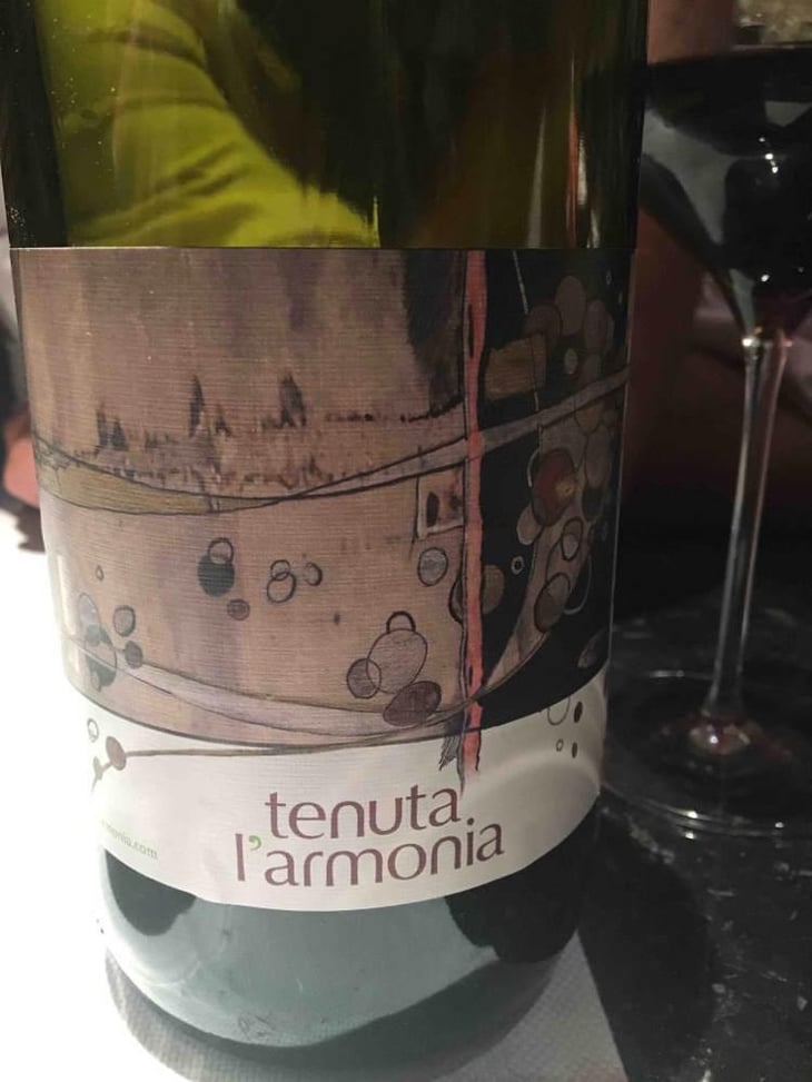 Rosso dell'Armonia - Tenuta l'Armonia - Andrea Pendin 