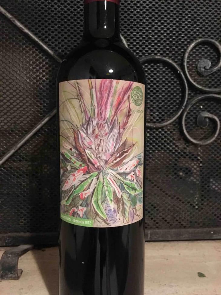 Rosso di Montalcino - Podere Sante Marie - Luisa & Marino Colleoni 