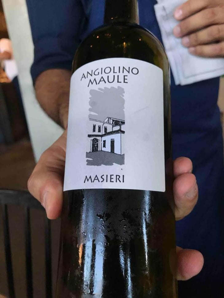 Rosso Masieri - Azienda Agricola La Biancara - Angiolino Maule 