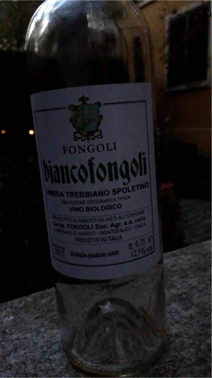 Rossofongoli - Fongoli - Angelo Fongoli 