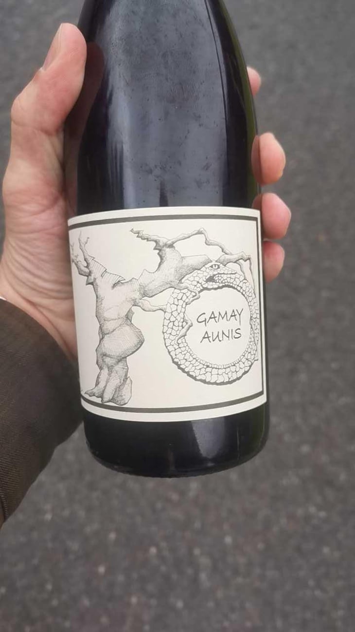 Gamay Aunis - Jean-Christophe Garnier - Jean-Christophe Garnier 