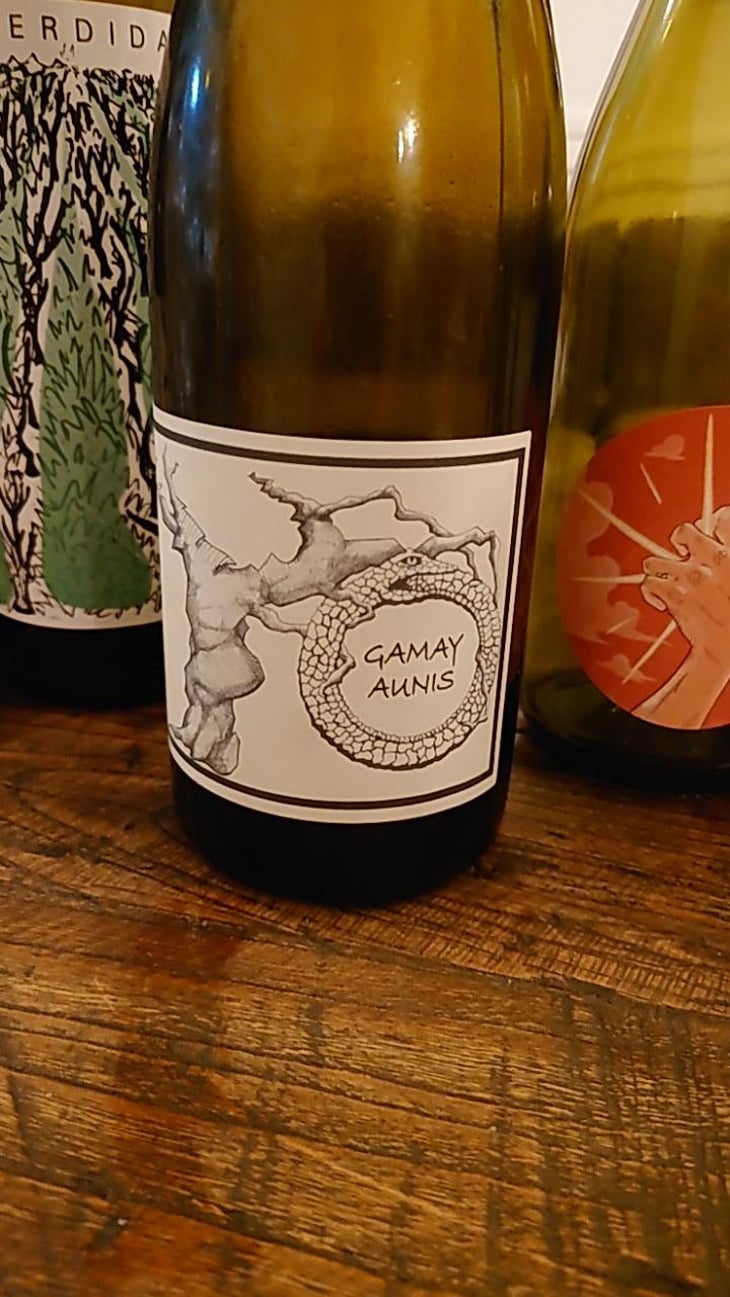 Gamay Aunis - Jean-Christophe Garnier - Jean-Christophe Garnier 