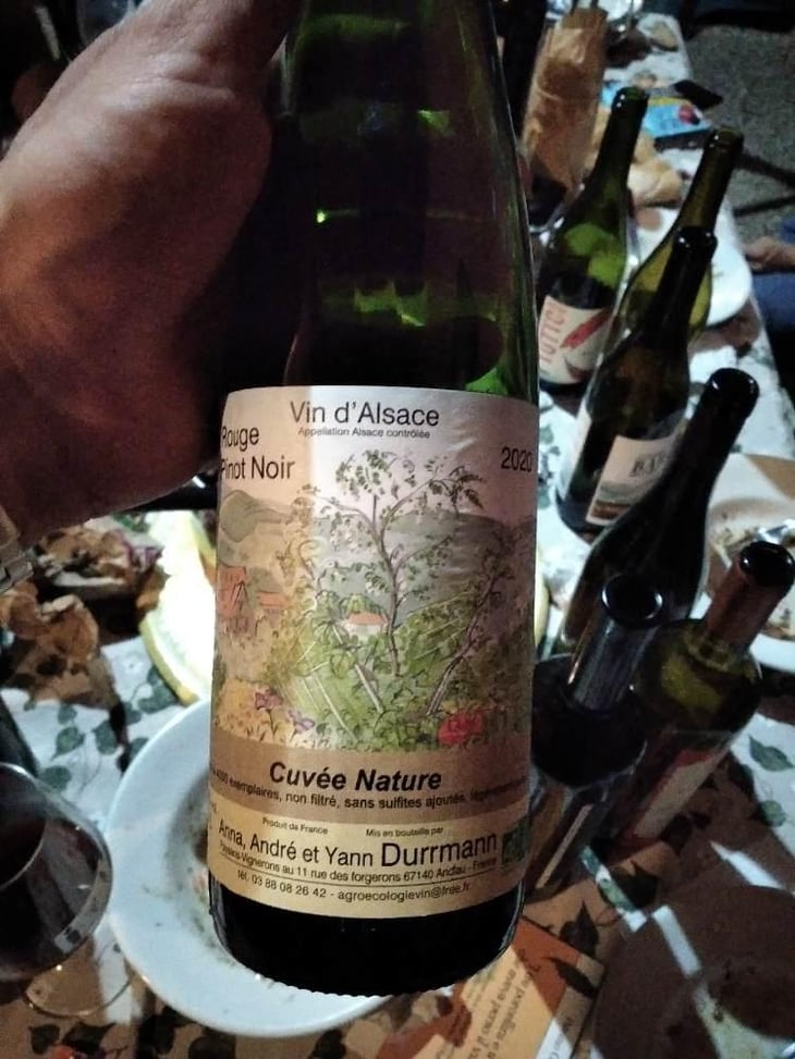 Rouge de Pinot Noir - Anna, André & Yann Durrmann - Anna, André & Yann Durrmann 