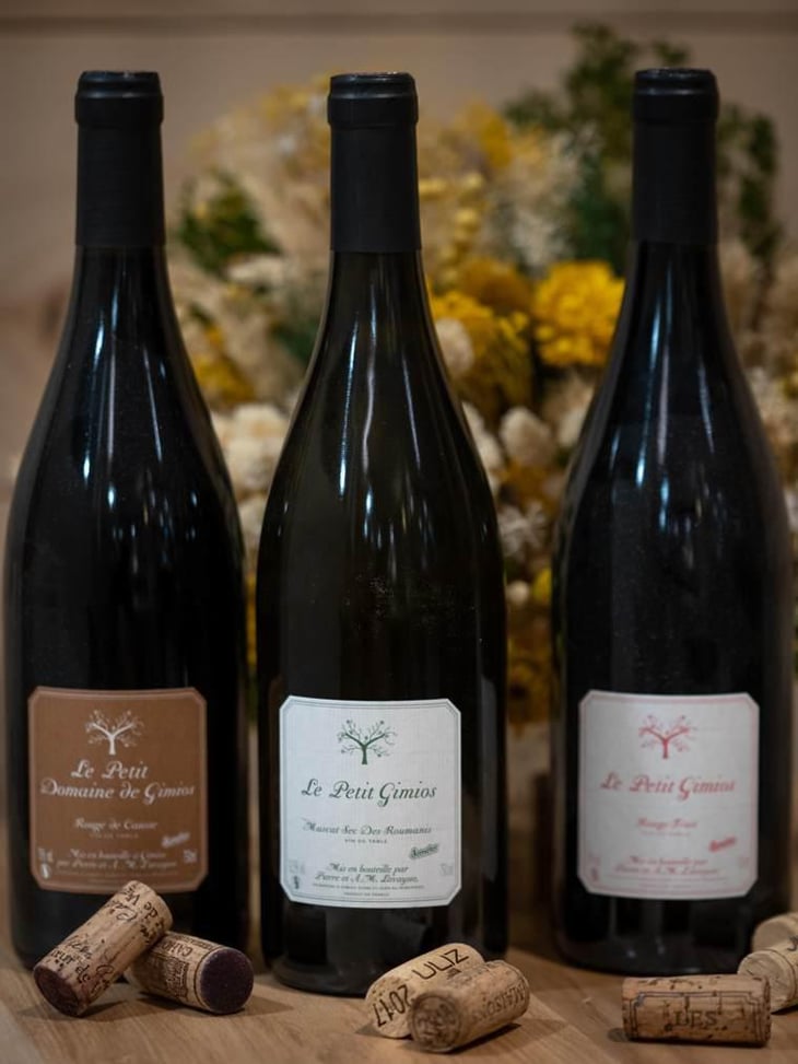 Rouge Fruit - Le Petit Domaine de Gimios - Anne-Marie Lavaysse 