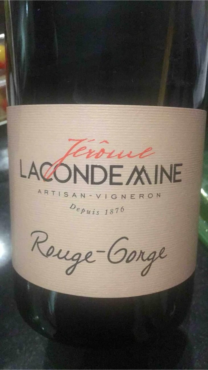 Rouge-Gorge - Jérôme Lacondemine - Jérôme Lacondemine 