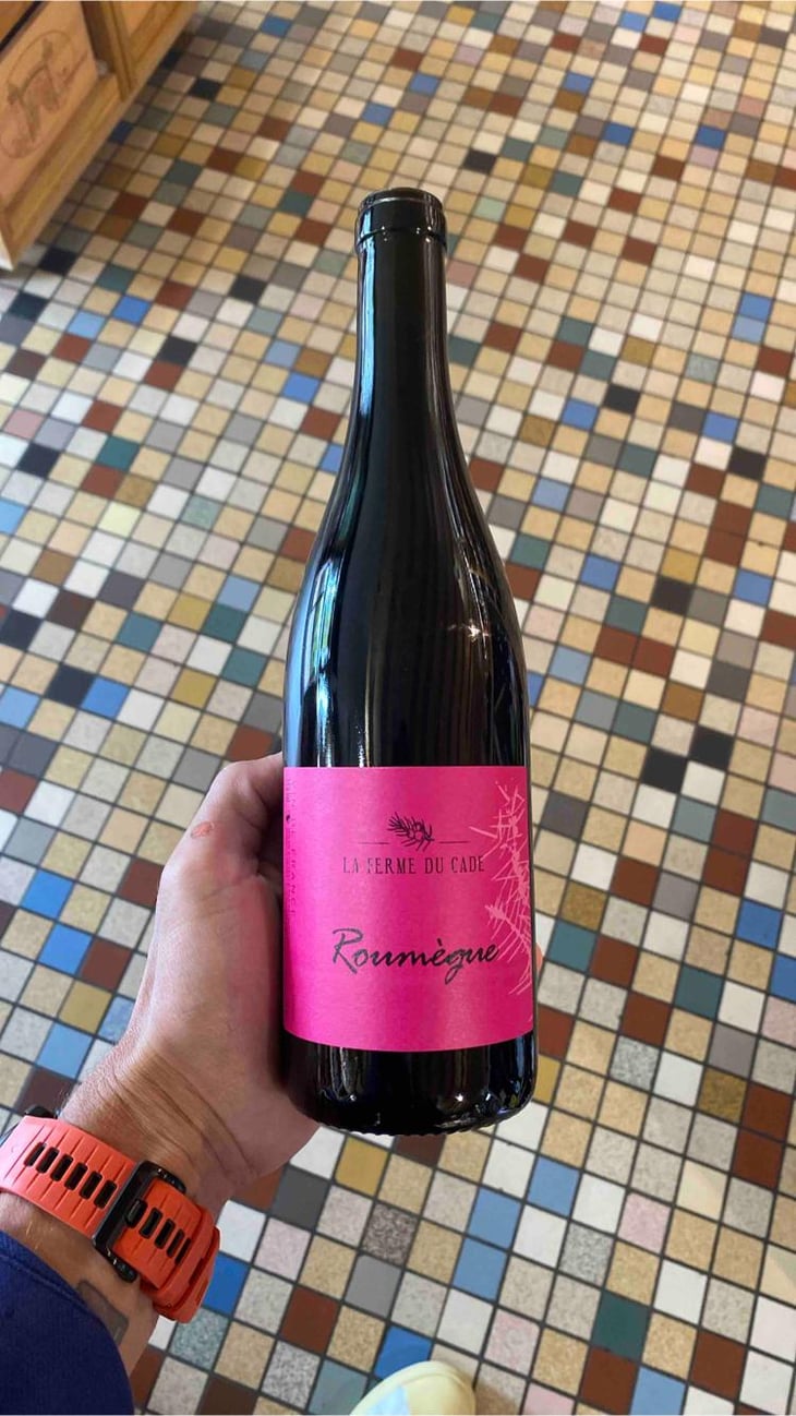 Roumègue - Domaine de Gressac - David Teyssier 