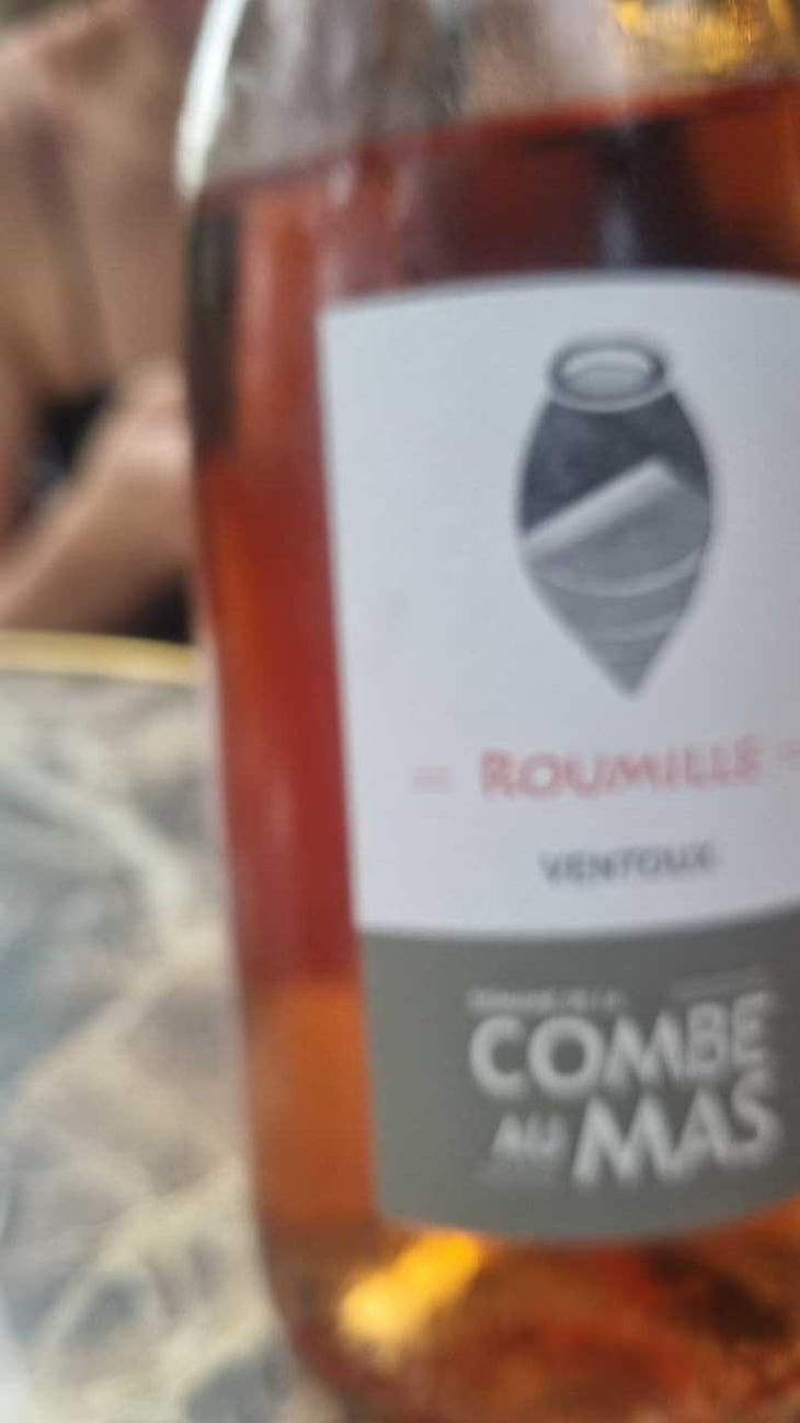 Roumille - La Combe au Mas - Marie-Sophie Jullien & Thomas Ayoun 