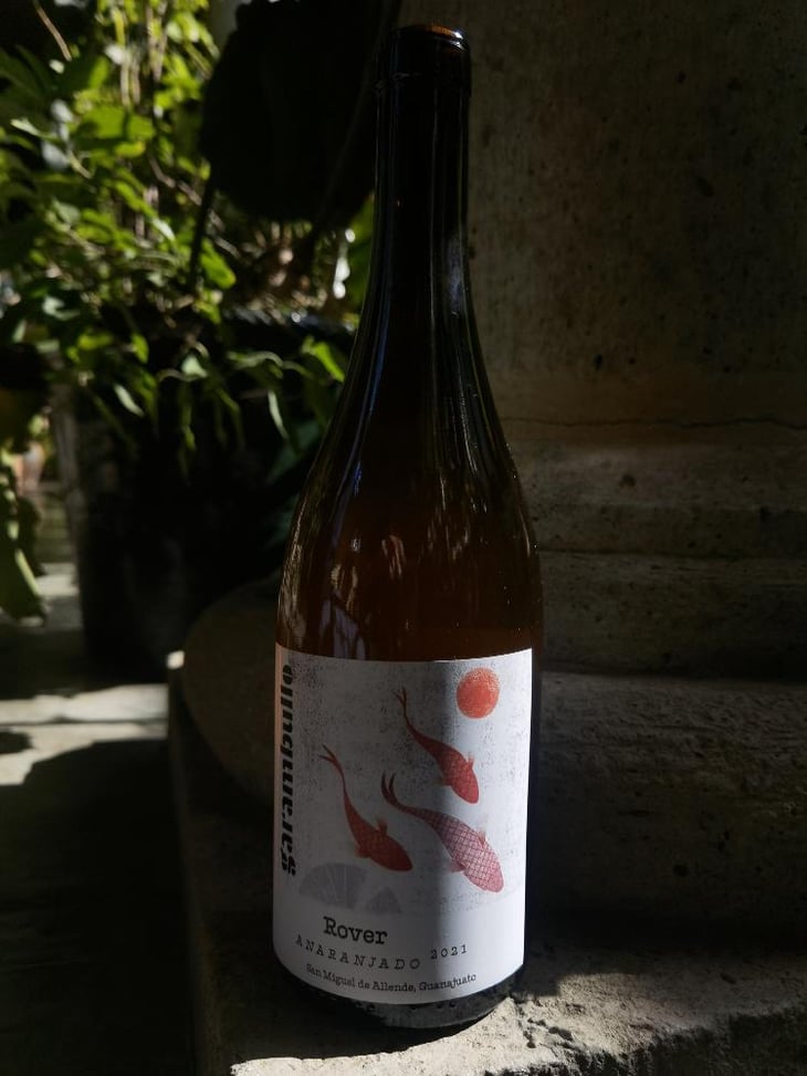 Rover - Cava Garambullo - Branko & Natalia Pjanic 