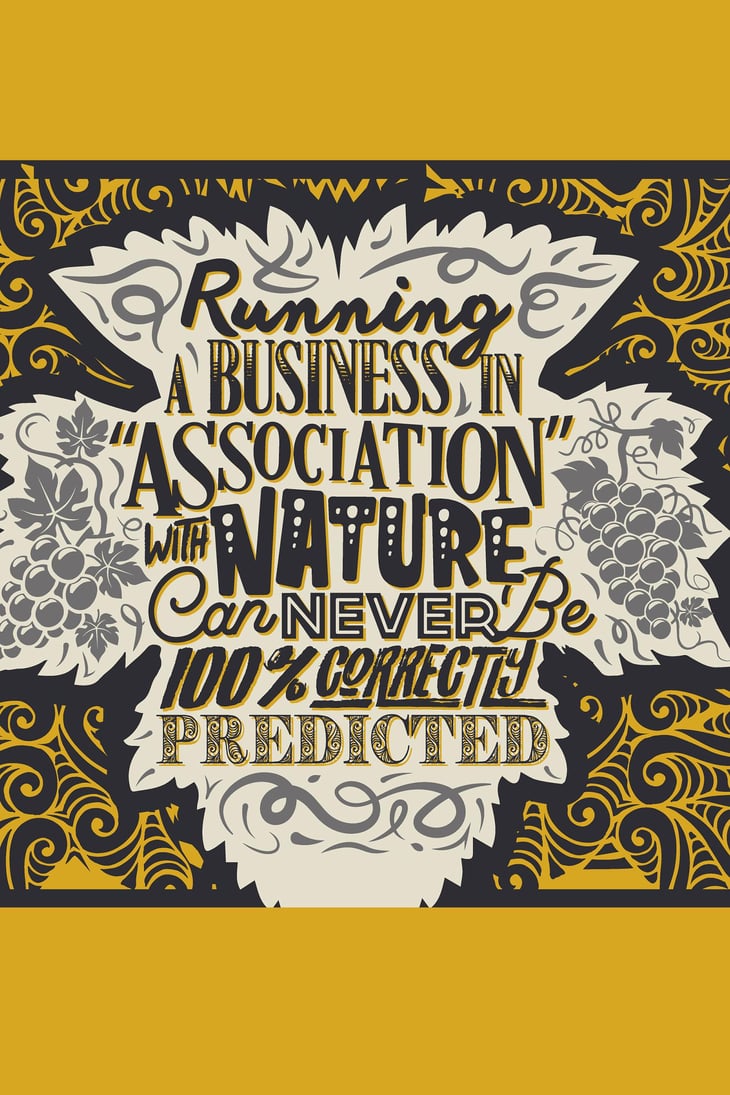 Running A Business In Association With Nature Can Never Be 100% Correctly Predicted - Masseria La Cattiva - A. Colangelo, L. Di Vincenzo, L. Lamolinara, M. La Barbera, M. Pastore Bovio, M. Opalenski, P. Bertani 