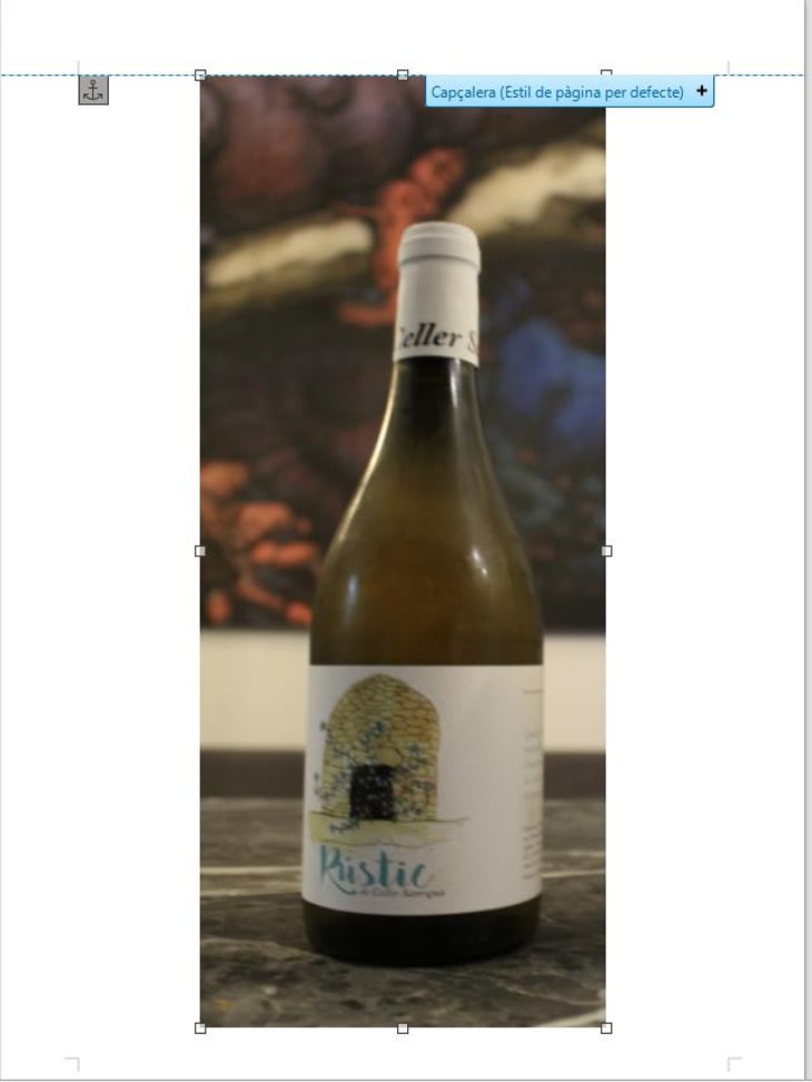 Rustic - Celler Sanromà - Eduard Sanromà 