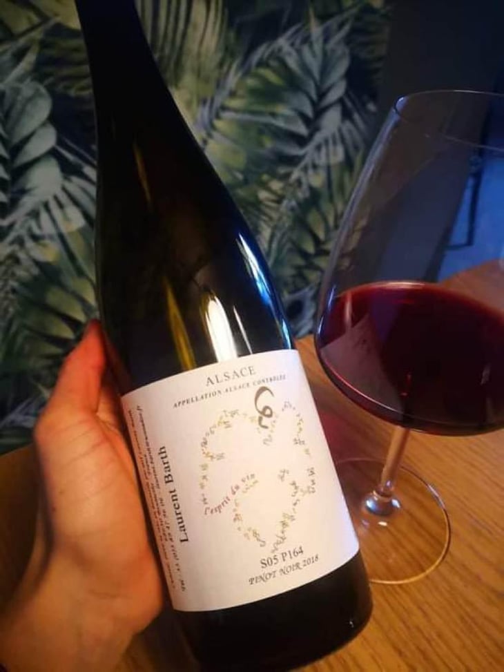 S05P164 Pinot Noir - Laurent Barth - Laurent Barth -2020