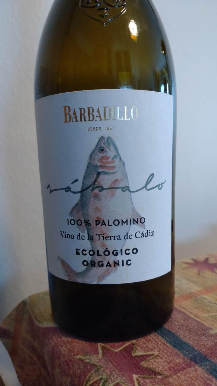 Sabalo - Barbadillo en Singular - Mauri Barbadillo -2020