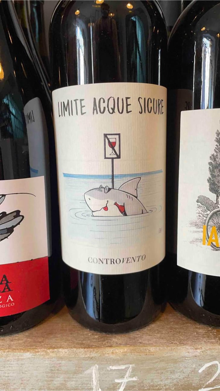 Limite Acque Sicure - Controvento - Vincenzo Di Meo 