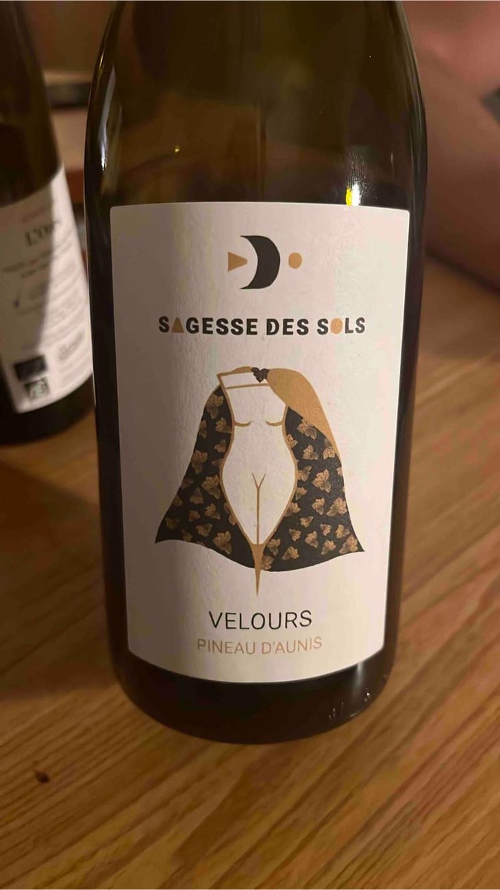 Velours - Sagesse Des Sols - Catherine & Frédéric Roger -2021