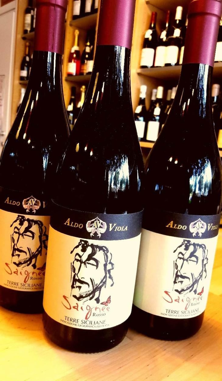 Saignee - Azienda Agricola Aldo Viola - Aldo Viola 
