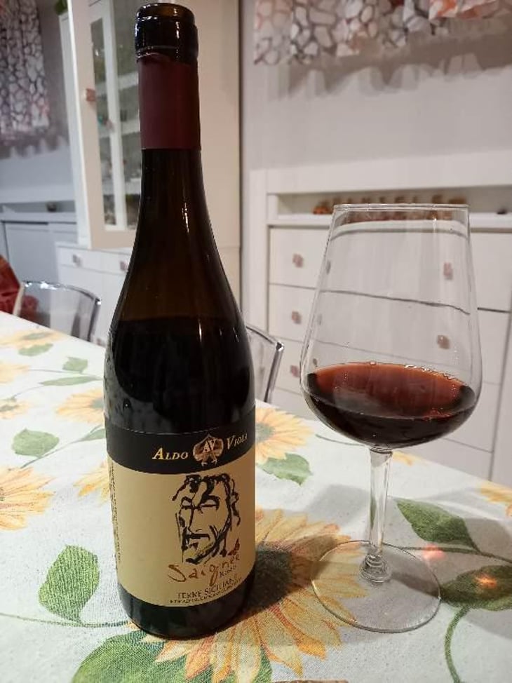 Saignee - Azienda Agricola Aldo Viola - Aldo Viola 
