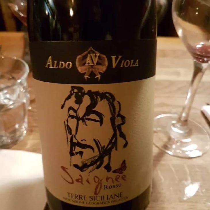 Saignee - Azienda Agricola Aldo Viola - Aldo Viola 