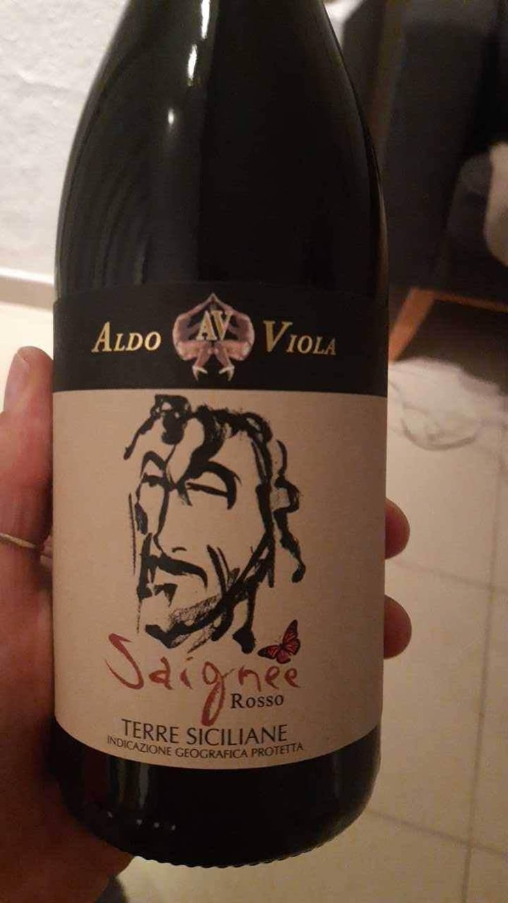 Saignee - Azienda Agricola Aldo Viola - Aldo Viola 