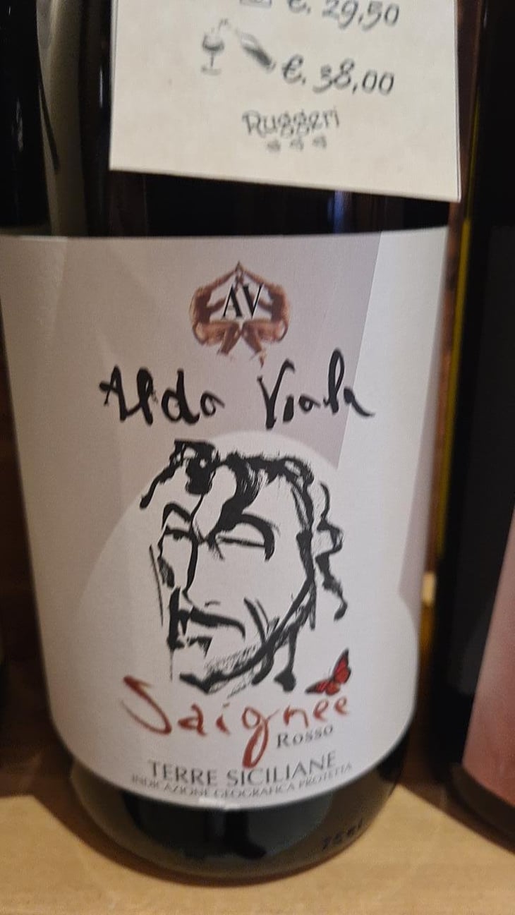 Saignee - Azienda Agricola Aldo Viola - Aldo Viola 