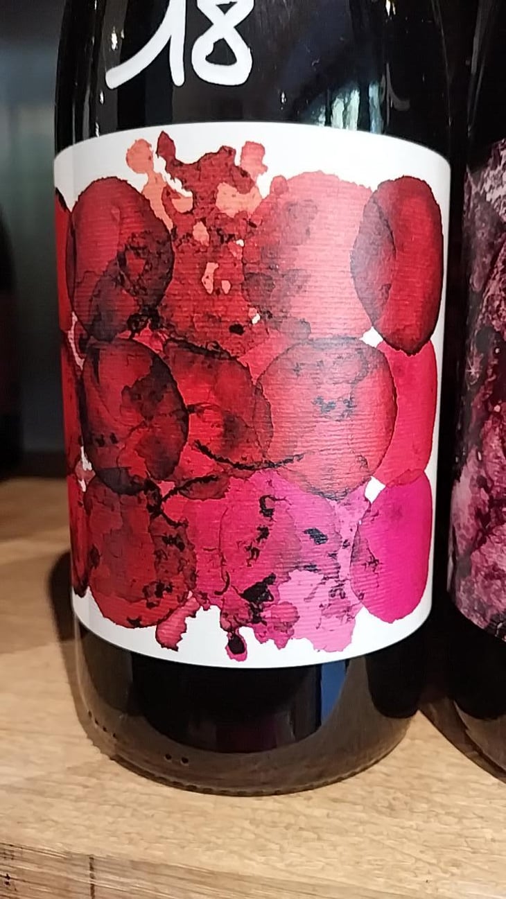 Sain-Ju - Domaine de la Gapette - Victor Blondin -2021