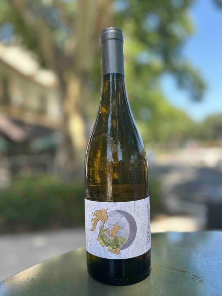 Poisson rouge - Domaine Saint-Apollinaire - Elodie Daumas 