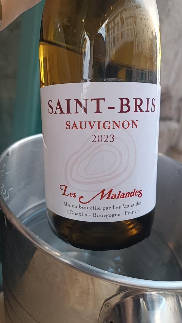 Saint bris - Domaine des Malandes - Domaine des Malandes -2023