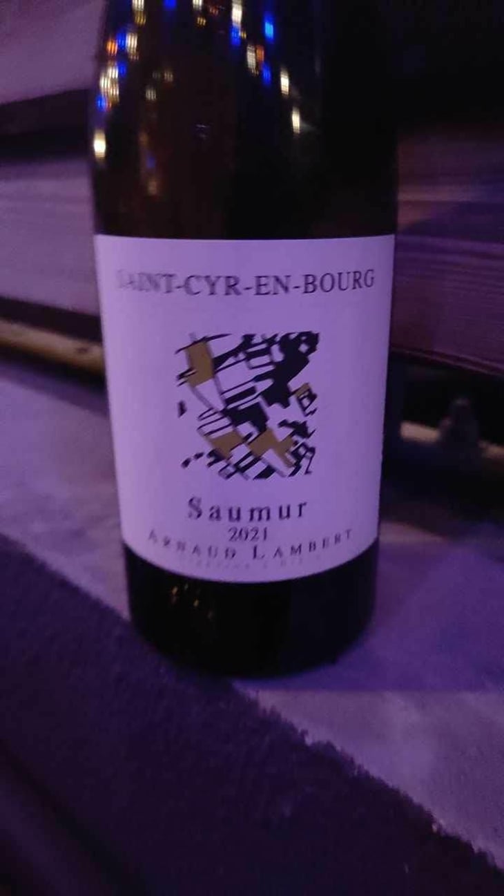 Saint-Cyr-En-Bourg - Domaine de Saint-Just - Arnaud Lambert 