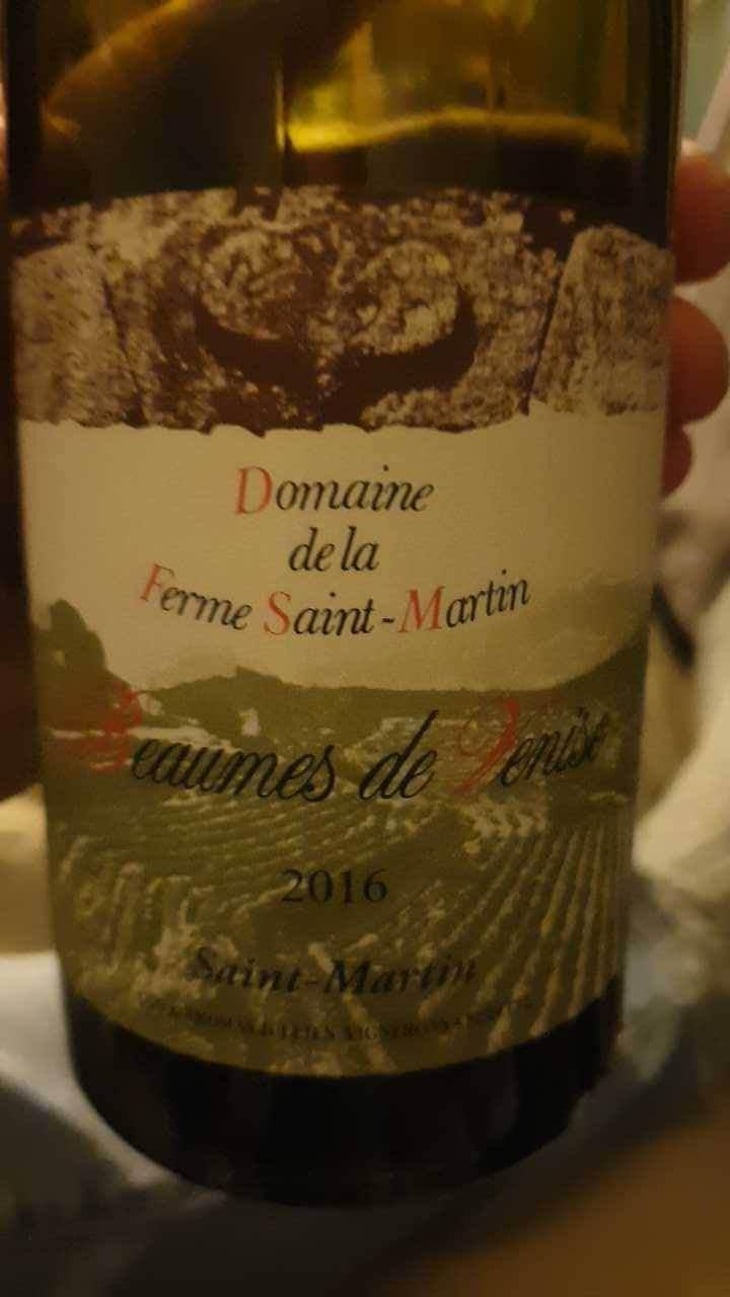 Saint-Martin - La Ferme Saint-Martin - Les Vins de Thomas - Sophie & Thomas Jullien 
