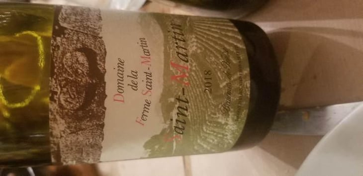Saint-Martin - La Ferme Saint-Martin - Les Vins de Thomas - Sophie & Thomas Jullien 