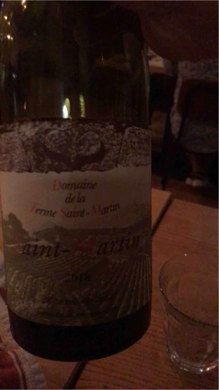 Saint-Martin - La Ferme Saint-Martin - Les Vins de Thomas - Sophie & Thomas Jullien 