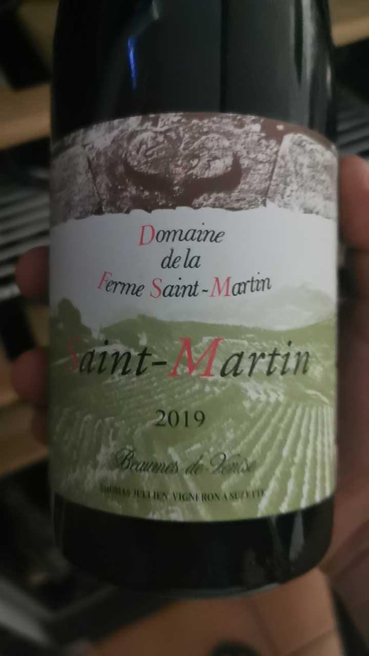 Saint-Martin - La Ferme Saint-Martin - Les Vins de Thomas - Sophie & Thomas Jullien 