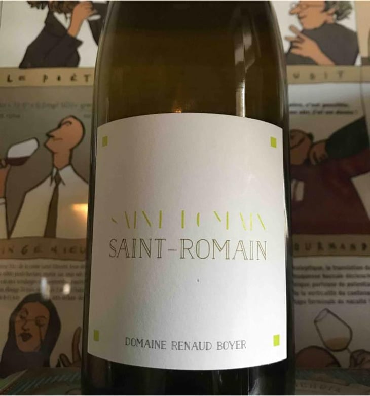 Saint-Romain Blanc - Domaine Renaud Boyer - Renaud Boyer 