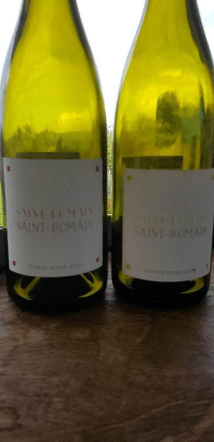Saint-Romain Blanc - Domaine Renaud Boyer - Renaud Boyer 