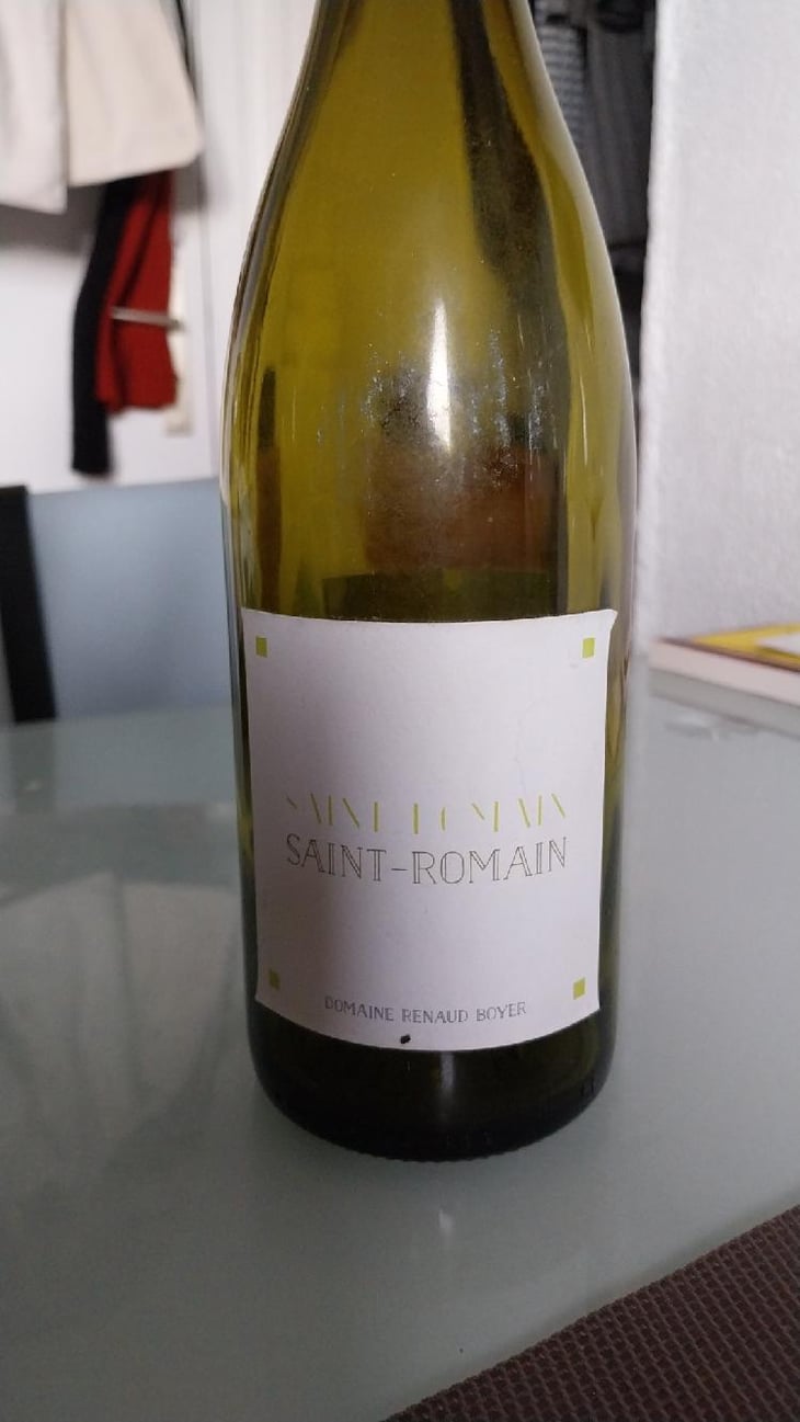 Saint-Romain Blanc - Domaine Renaud Boyer - Renaud Boyer 
