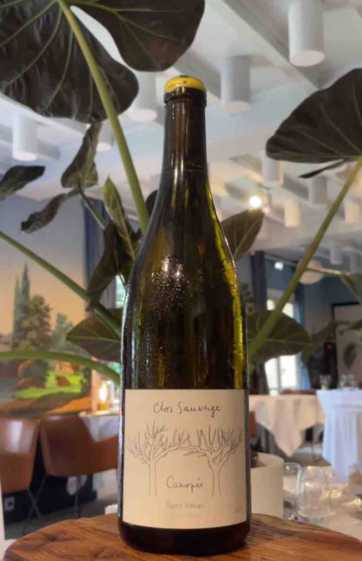 Canopée - Clos Sauvage - Sophie & David Devynck -2023