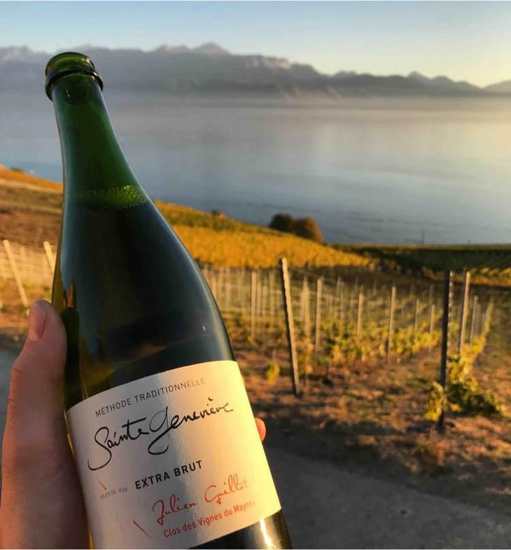 Sainte Geneviève Extra Brut - Clos des Vignes du Maynes - Julien Guillot 