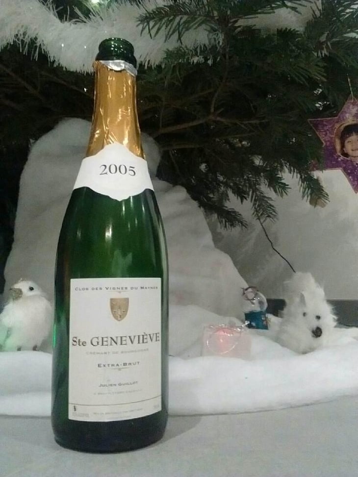 Sainte Geneviève Extra Brut - Clos des Vignes du Maynes - Julien Guillot 